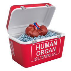 ORGAN NAKLİ HİZMETLERİ